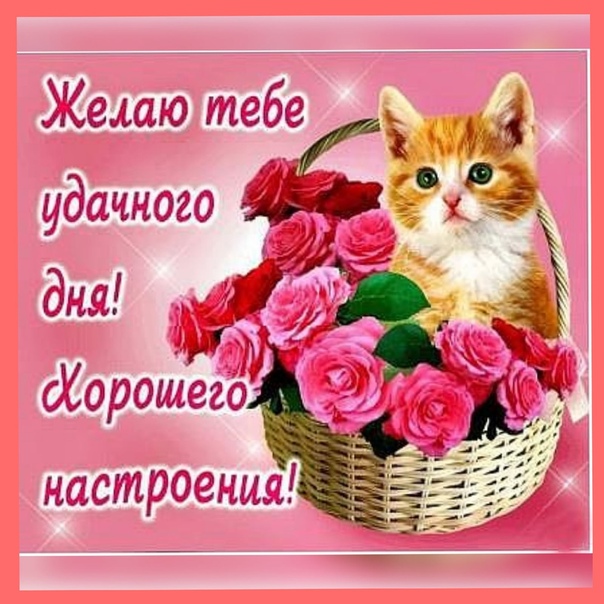 Кое что о женских шутках