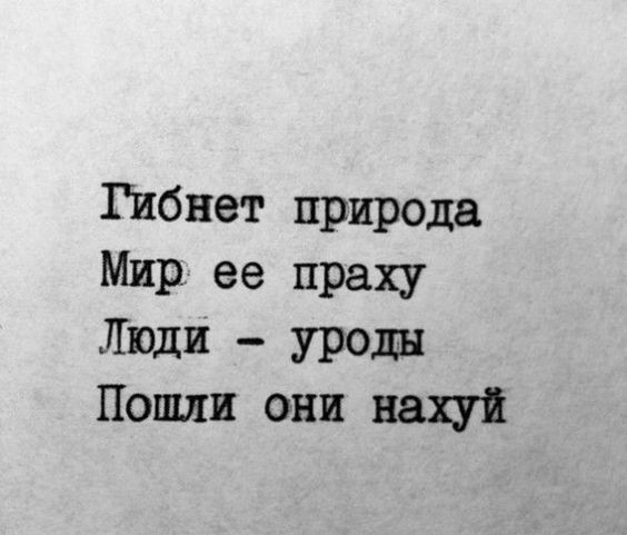 Херсон. Неожиданная встреча