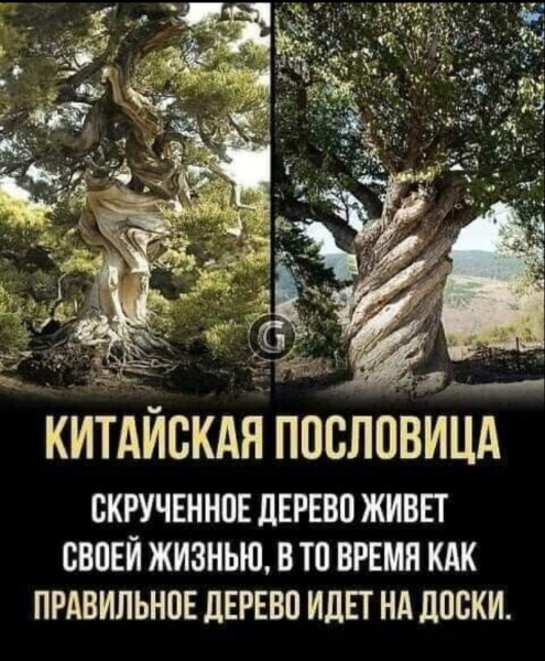 Баянисто-небаянистый юмор 9.03.22