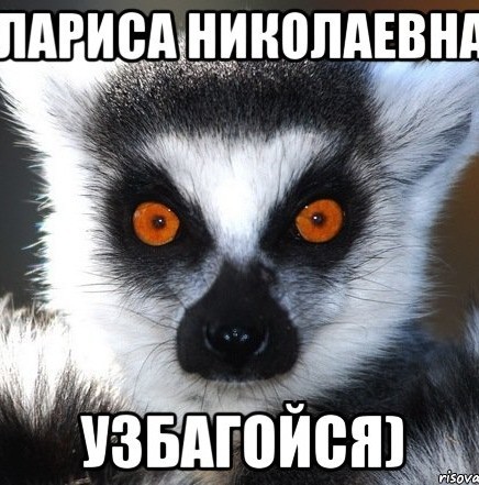 Сахарные войны продолжаются