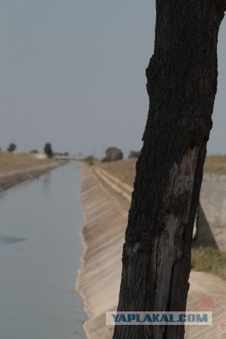 Крым. Евпатория, Ялта... да и вообще на машине