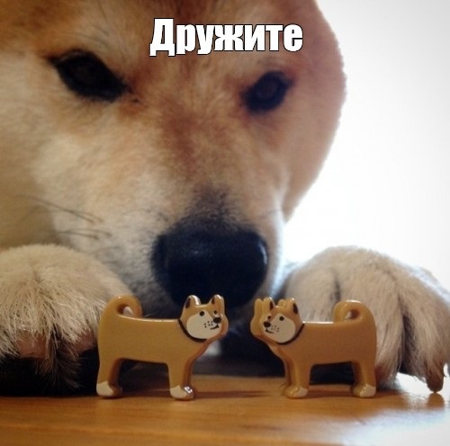 Муж загулял...
