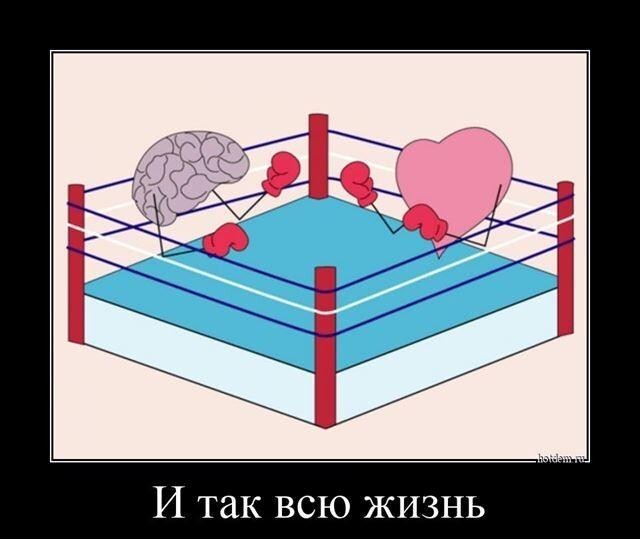 Немного картинок с надписями 21.06.22