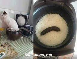 Муж отказывается прописывать меня!