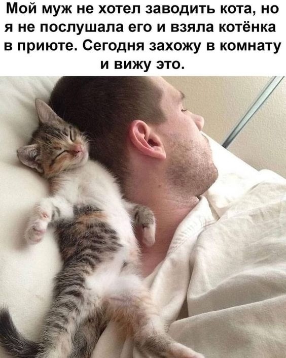 Так себе картинки 03.11.22