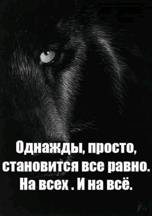Картинки и мемы, всем хороших выходных