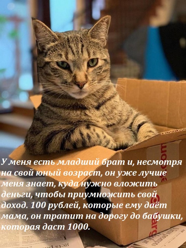 Так себе картинки 26.03.23