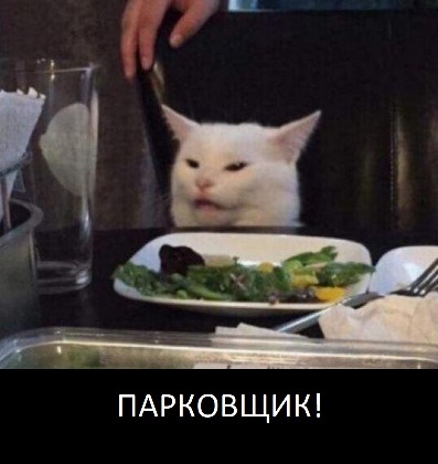 Песнь "парковщика"