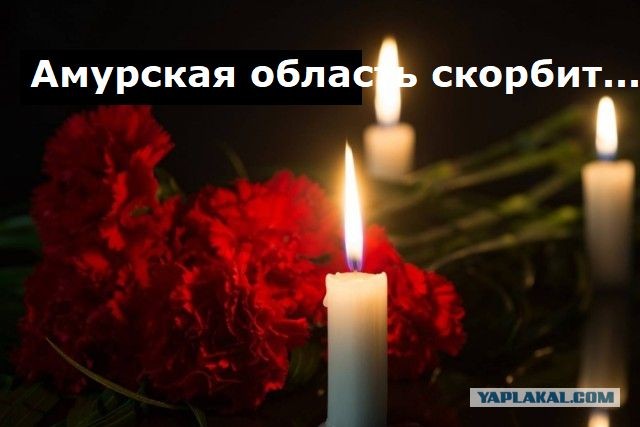 Число погибших при теракте в Крокусе возросло до 93 человек