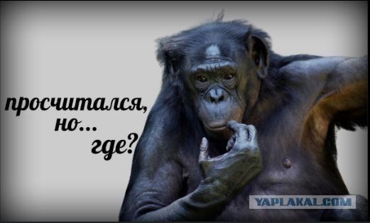 Гуманитарная "катастрофа" в Газе