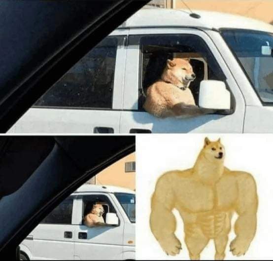 Никакие картинки
