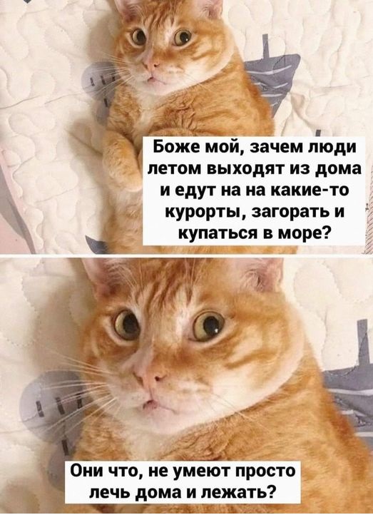 Картинки разные с надписями и без