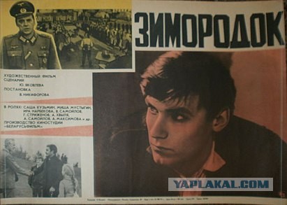 Зимородок