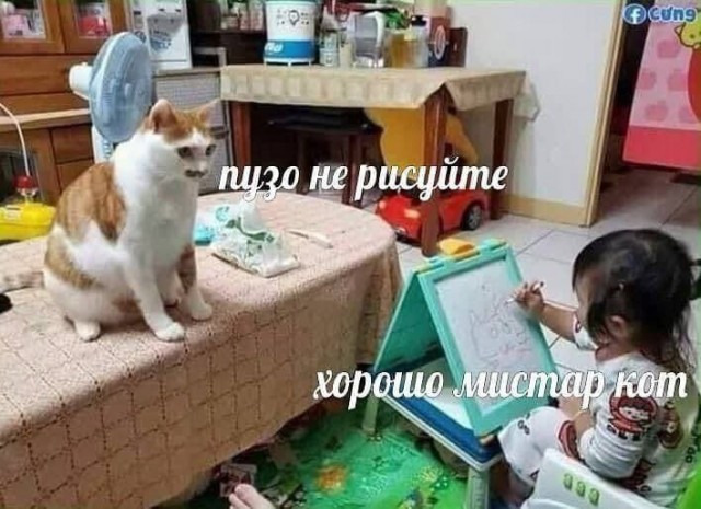 ТРРРидцать тРРРи от 22 мая