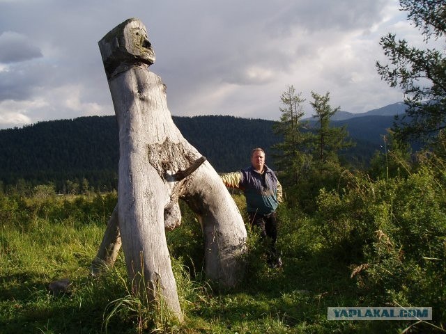 Дикие фото из социальных сетей