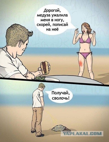 Картинки для деградации 28 (разной степени свежести)