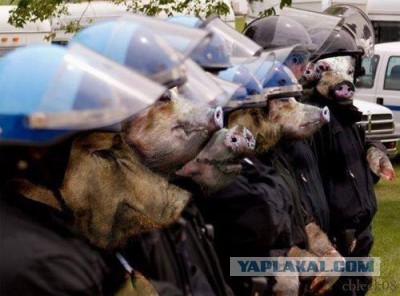 Акция протеста в Николаевской области