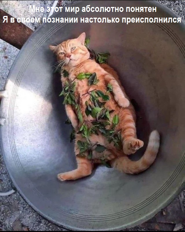 ЯПълов