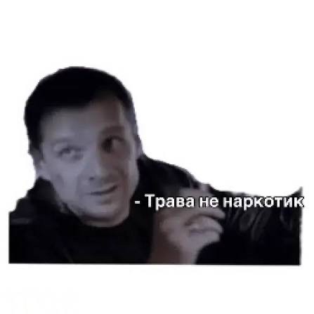 У наркоаграриев Киева изъяли 50 мешков конопли