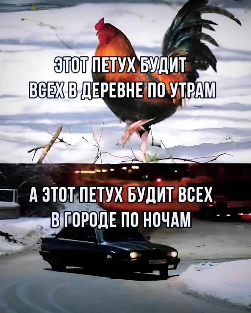 Картинки всякие разные невпопад 1.1