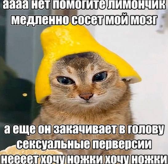 Дегрономикон 8
