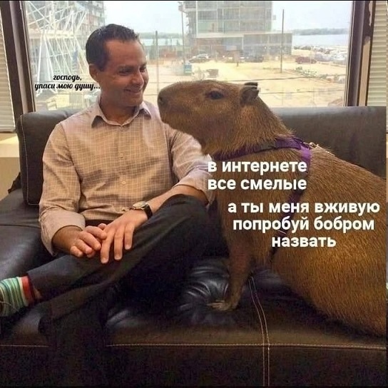 Жизнь на острове