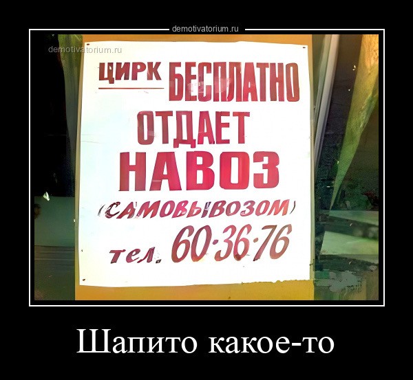Билет в цирк-шапито за миллиард рублей заметили наши подписчики.
