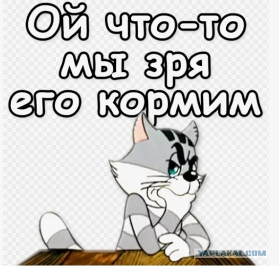 Четыре года в рабстве у мужа: пенсионер эксплуатировал жену, продавая ее незнакомцам