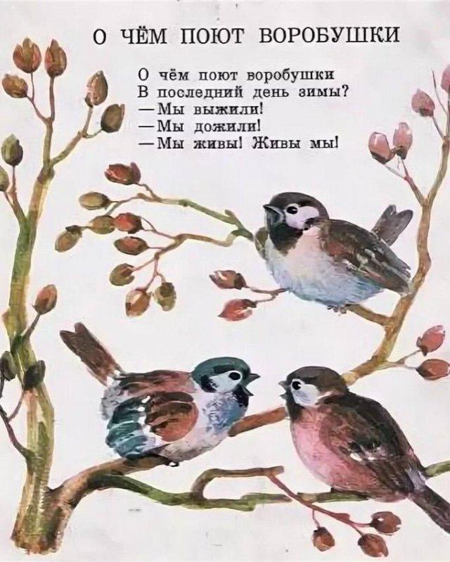 Картинки для деградации 152 (разной степени свежести)