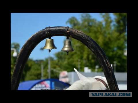 Shit happens как есть