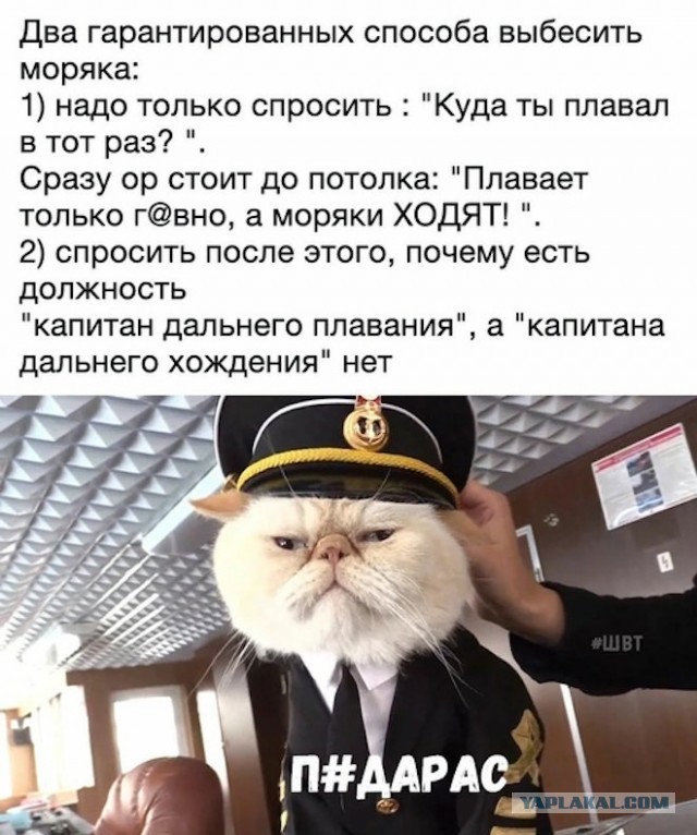 Веселые картинки в понедельник (13.04)