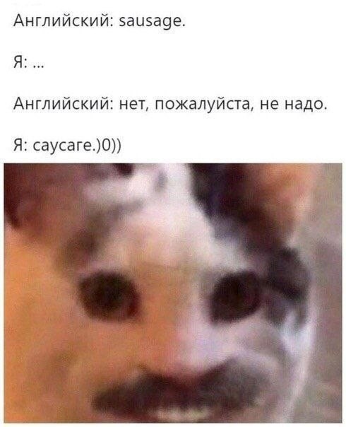 Картинки