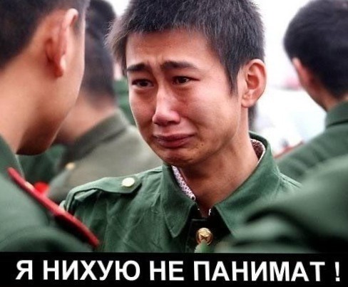 Одна картинка на злобу дня