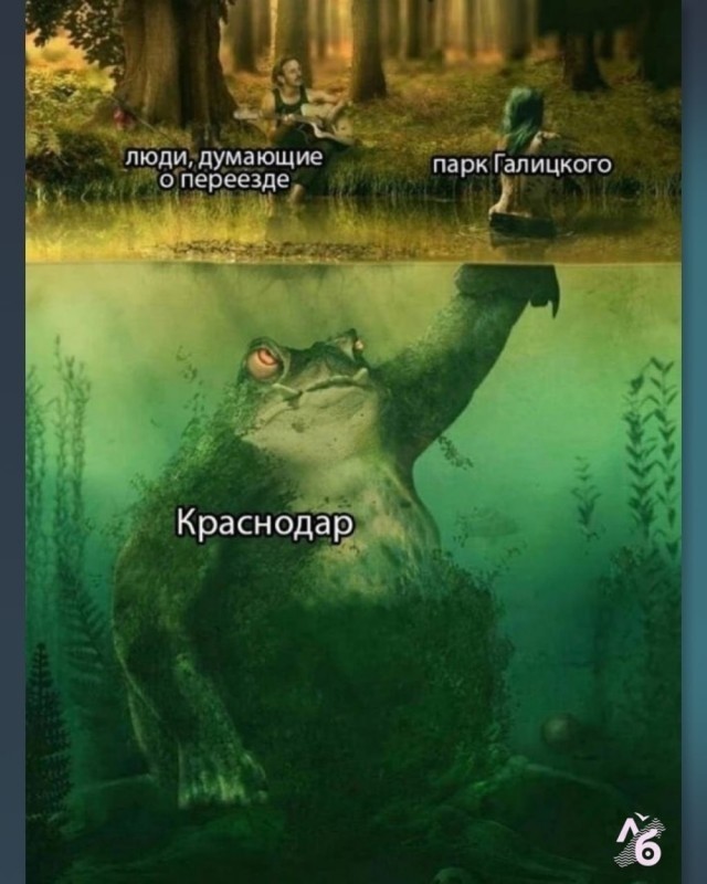 Картинки для деградации 202 (разной степени свежести)