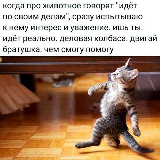 Картинки для деградации 218 (разной степени свежести)