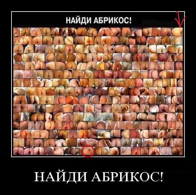 Говно, жопа. Сборник боянов на заданную тему