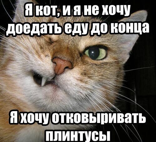 Ну, ты же понимаешь...