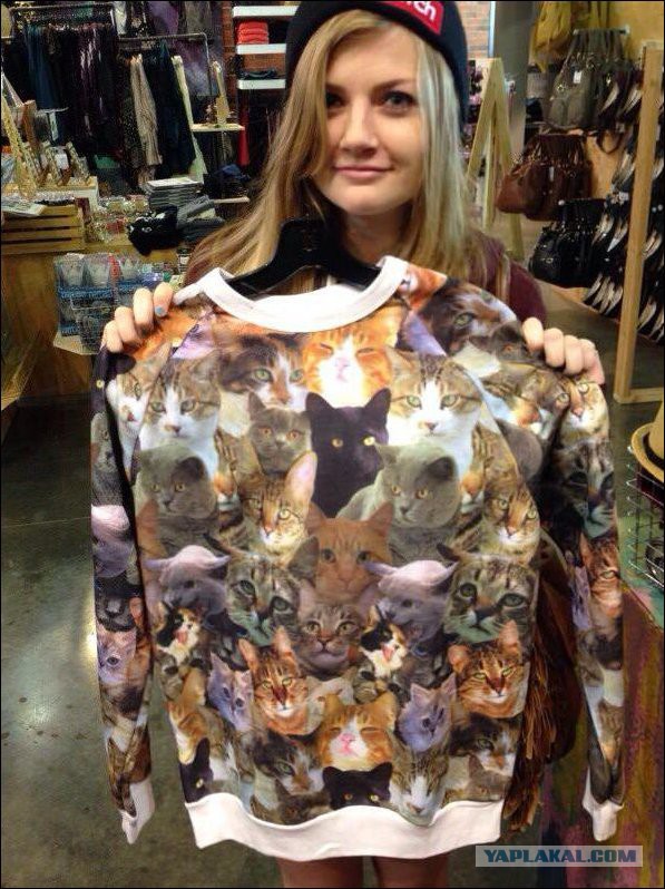 Спасли кота!