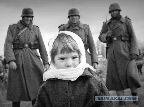 Демотиваторы и просто веселые картинки