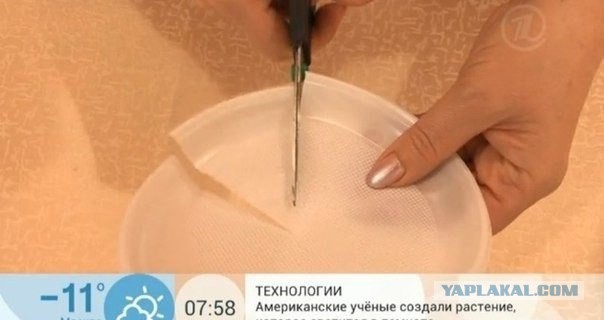 25 способов украсить дом, не имея ни гроша