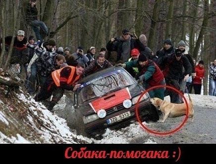 Капля позитива