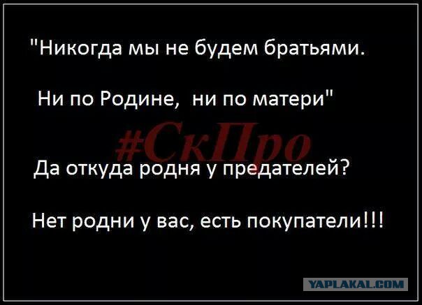 Сюжет России 24 о чеченцах на Донбассе