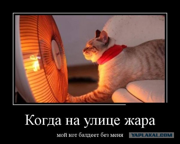 Немного позитива на пятницу
