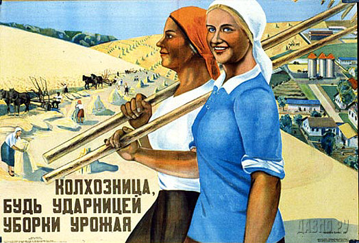 Пшеничная принцесса: студентка-филолог-хлебороб