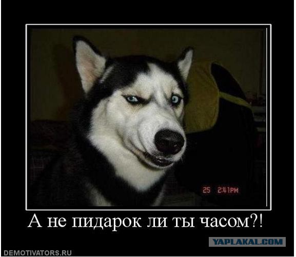 Разведенка с ребенком