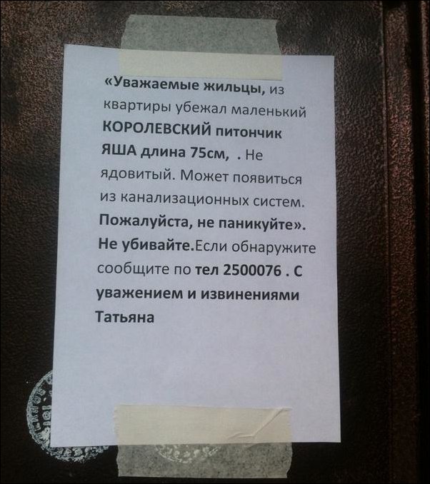 Комментарии из соцсетей