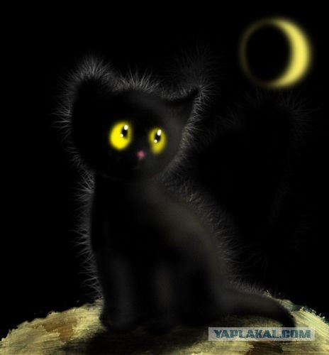 Рисованный котовторник