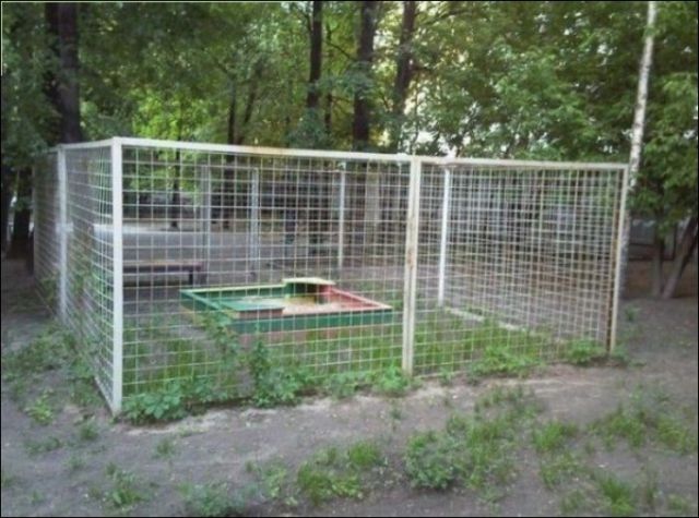 Весёлые картинки