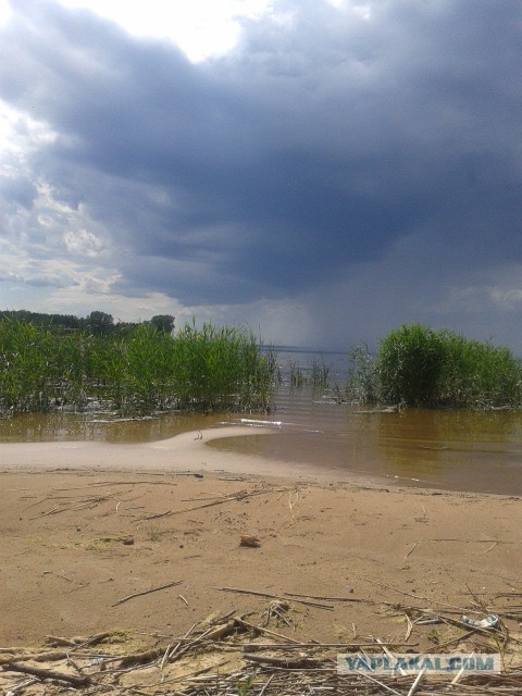 Хочу в Россию.