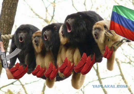 Дикие Школьники